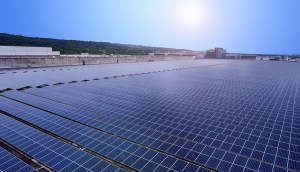 中美硅晶与米兰体育光电携手战略合作