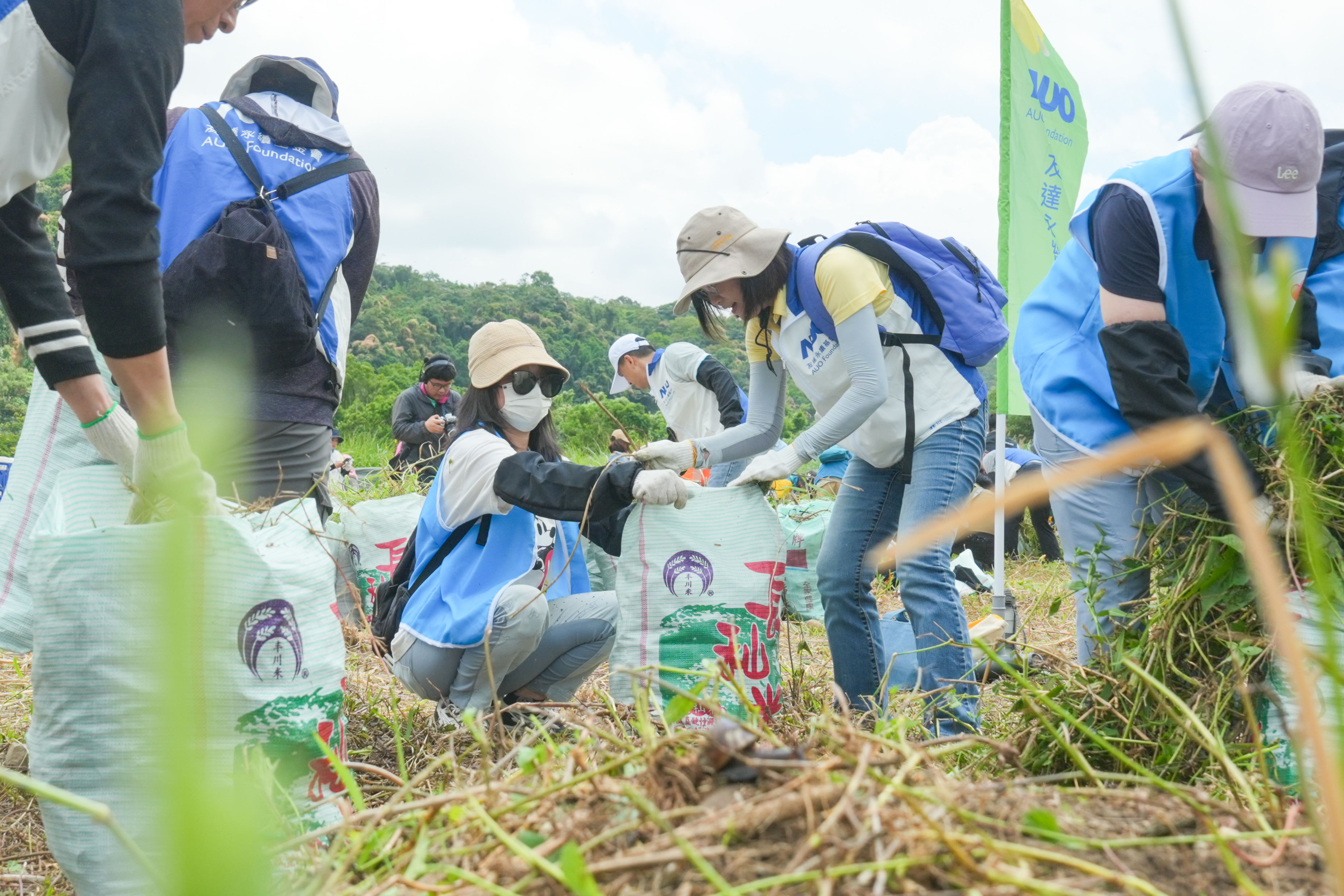 米蘭體育除蔓防治計畫，除了鎖定霄裡溪沿岸3.2公里移除外來入侵種小花蔓澤蘭，並進行物種與空拍調查，共記錄91科181屬239種維管束植物，顯示該區域具高度生態價值